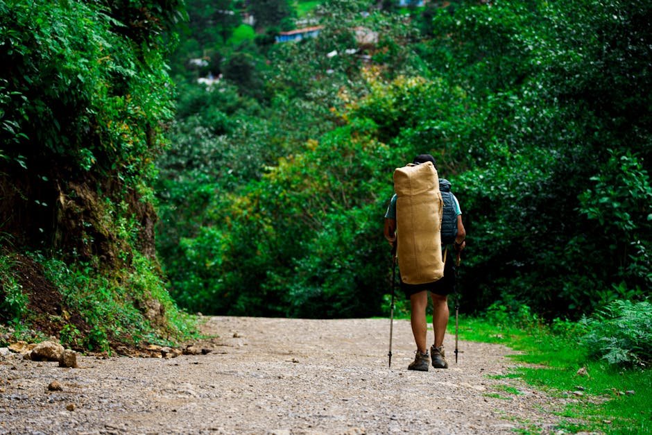Free stock photo via Pexels