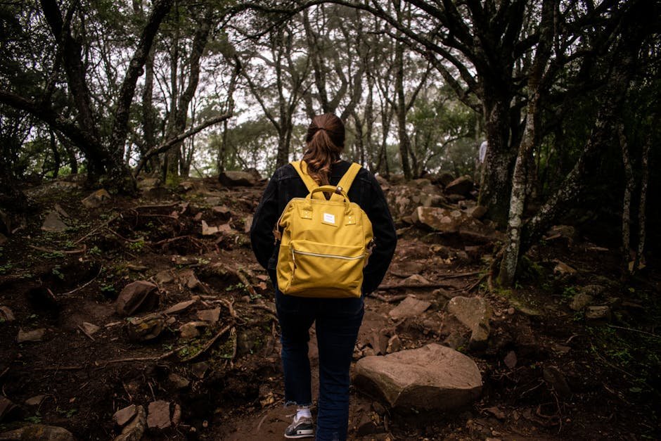 Person hiking on a wooded trail without a phone visible enjoying outdoor presence