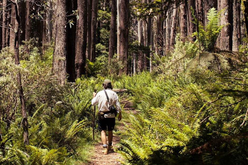 Free stock photo via Pexels